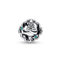Genie of Wonders - My Life Charm in 925 Sterling Silver
